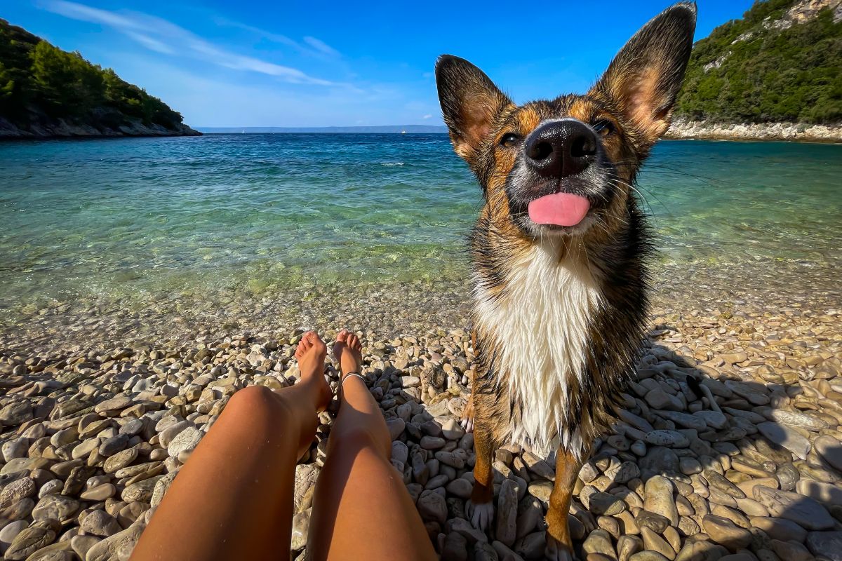 Chorvatsko se psem: kde a jakou psí pláž vybrat?