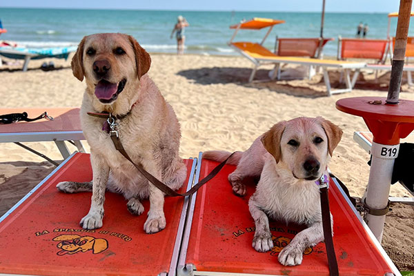 Psí pláž La Spiaggia di Pluto Psí pláž La Spiaggia di Pluto